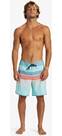 Vorschau: QUIKSILVER Herren Bermuda EVERYDAYNEWSTRI BDSH