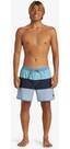 Vorschau: QUIKSILVER Herren Bermuda EVRY TJ 16NB JAMV