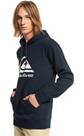 Vorschau: QUIKSILVER Herren Kapuzensweat BIGLOGOHOOD M OTLR