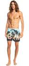 Vorschau: QUIKSILVER Herren Badeshorts PARADISE 15 M JAMV