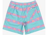 Vorschau: QUIKSILVER Herren Bermuda TAKUSBCKVL17 JAMV