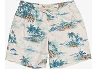 Vorschau: QUIKSILVER Herren Bermuda LONGMANHILLVOLL JAMV
