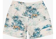 Vorschau: QUIKSILVER Herren Bermuda LONGMANHILLVOLL JAMV