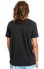 Vorschau: QUIKSILVER Herren Shirt COMPLOGOSS M TEES