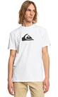 Vorschau: QUIKSILVER Herren Shirt COMPLOGOSS M TEES