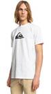 Vorschau: QUIKSILVER Herren Shirt COMPLOGOSS M TEES
