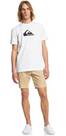 Vorschau: QUIKSILVER Herren Shirt COMPLOGOSS M TEES