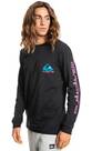 Vorschau: QUIKSILVER Herren Shirt OMNILOGO M TEES