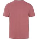Vorschau: PROTEST Herren Shirt PRTSTAN