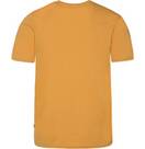 Vorschau: PROTEST Herren Shirt PRTCAARLO t-shirt