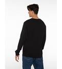 Vorschau: PROTEST Herren Shirt SHELBY longsleeve t-shirt