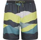 Vorschau: PROTEST Badehose PRTJAVIAR beachshort