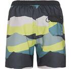 Vorschau: PROTEST Badehose PRTJAVIAR beachshort