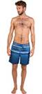 Vorschau: PROTEST Herren Powell Beachshort