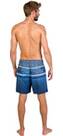 Vorschau: PROTEST Herren Powell Beachshort