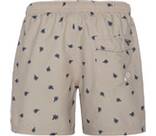 Vorschau: PROTEST Badehose PRTAAIDEN beachshort