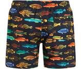 Vorschau: PROTEST Kinder Badeshorts PRTIVAN JR beachshort