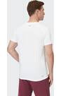 Vorschau: VENICE BEACH Herren Shirt VBM_Hayes DMS 03 T-Shirt