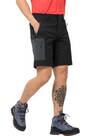 Vorschau: JACK WOLFSKIN Herren Wanderbermudas "Active Track Shorts"