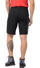 Vorschau: JACK WOLFSKIN Herren Wanderbermudas "Active Track Shorts"