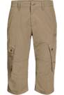 Vorschau: JACK WOLFSKIN Herren Freizeithose DESERT VALLEY 3/4 PANTS M