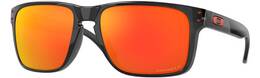 Vorschau: OAKLEY Herren Brille HOLBROOK XL