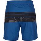 Vorschau: O'NEILL Herren Bermuda PM CALI STRIPE SHORTS