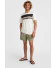 Vorschau: O'NEILL Herren Badeshorts CALI BLOCK 15'' SWIM SHORTS