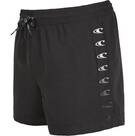 Vorschau: O'NEILL Herren Badeshorts COAST 14'' SWIM SHORTS