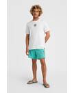 Vorschau: O'NEILL Herren Badeshorts CALI OCEAN 16'' SWIM SHORTS