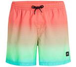 Vorschau: O'NEILL Badehose JACK CALI GRADIENT 15'' SWIM SHORTS