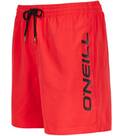 Vorschau: O'NEILL Herren Bermuda Cali Shorts