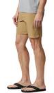 Vorschau: COLUMBIA-Herren-Shorts-Silver Ridge™ II Short