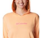 Vorschau: COLUMBIA Columbia Logo III French Terry Hoodie