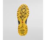 Vorschau: LA SPORTIVA Bushido III