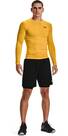 Vorschau: UNDER ARMOUR Herren Shorts HG Armour Shorts
