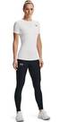 Vorschau: UNDER ARMOUR Damen Shirt UA HG AUTHENTICS COMP SS