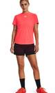 Vorschau: UNDER ARMOUR Damen Shorts UA W'S CH. PRO SHORT