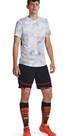 Vorschau: UNDER ARMOUR Herren Shorts UA M'S CH. PRO TRAIN SHORT