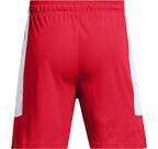 Vorschau: UNDER ARMOUR Herren Shorts UA BASELINE SHORT