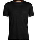 Vorschau: ICEBREAKER Herren Shirt