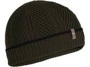 Vorschau: ICEBREAKER Herren Adult Waypoint Beanie