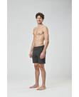 Vorschau: PICTURE Herren Shorts PODAR HYBRID 19 BRDS