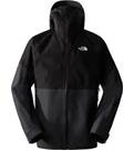 Vorschau: THE NORTH FACE Herren Jacke M JAZZI GTX JACKET