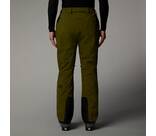 Vorschau: THE NORTH FACE Herren Hose M CHAKAL PANT