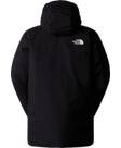 Vorschau: THE NORTH FACE Herren Jacke M MTN RANGE DOWN PARKA