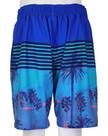 Vorschau: WAVEBREAKER Herren Badebermuda Shorts