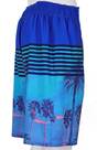 Vorschau: WAVEBREAKER Herren Badebermuda Shorts