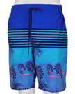 Vorschau: WAVEBREAKER Herren Badebermuda Shorts