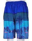 Vorschau: WAVEBREAKER Herren Badebermuda Shorts